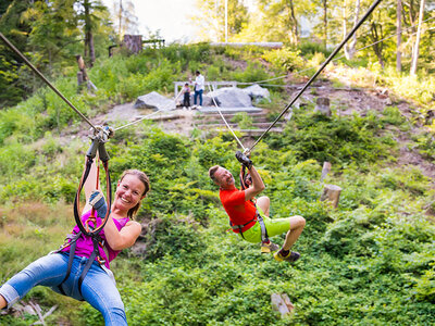 Coffret cadeau Activité de plein air à Interlaken : accès à 9 parcours d’accrobranche pour 2 adultes avec briefing