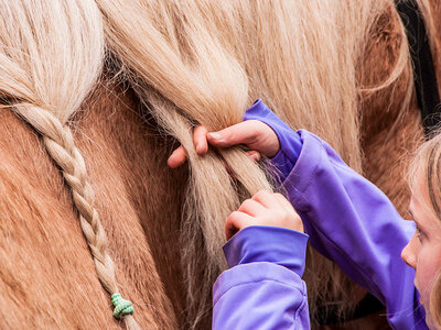 Excursion familiale passionnante dans une ferme près de Stuttgart