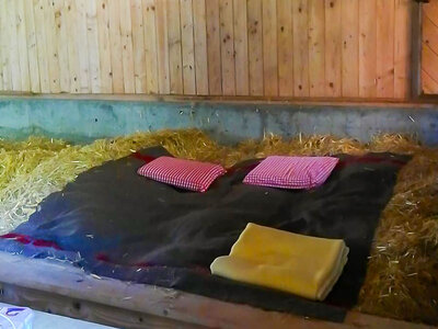 Coffret Séjour insolite d'1 nuit sur un lit de paille dans le canton de St-Gall