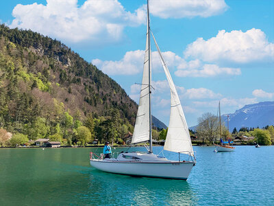 Escursione culturale in barca a vela sul pittoresco Lago di Thun