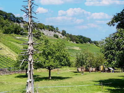 Coffret 2 nuits insolites en famille à dormir sur un lit de paille près du lac de Constance