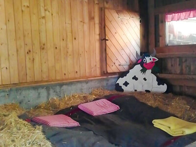 Familienabenteuer mit Übernachten auf Stroh auf einem Bauernhof in der Nähe des Bodensees