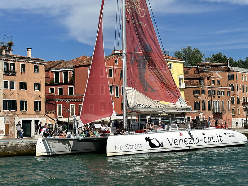 Venezia Classica: Vivaldi Tour in catamarano con musica classica e 2 bevande per 2 persone