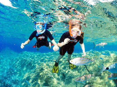 Plongée en Corse : sortie en snorkeling d’1h et baptême de 30 min à Calvi