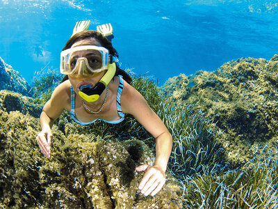 Coffret cadeau Plongée en Corse : sortie en snorkeling d’1h et baptême de 30 min à Calvi