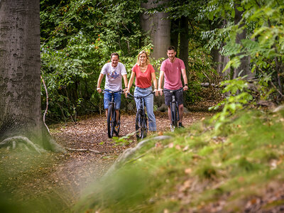 2 jours en tipi avec balade en trottinette tout-terrain dans la campagne près de Bruxelles