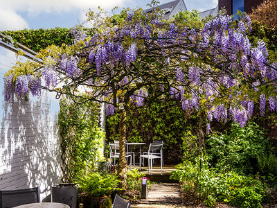 Coffret cadeau 2 jours avec bulles dans un B&B à Alost