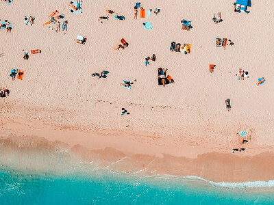 Cofanetto Viaggio in Florida: 4 notti in hotel 4* a Miami con visita alle Everglades e alle Keys