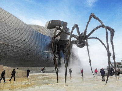 Cofanetto regalo Biglietti per il Museo Guggenheim di Bilbao e tour della costa basca per 2