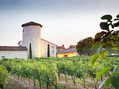 Coffret cadeau Séjour de 2 jours en suite dans un château 4* avec dîner et dégustation de vins près de Gaillac