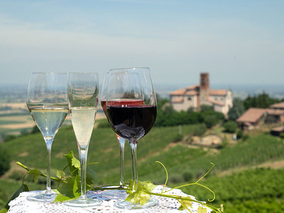 Degustazioni enologiche per 2 in selezionate cantine della Lombardia