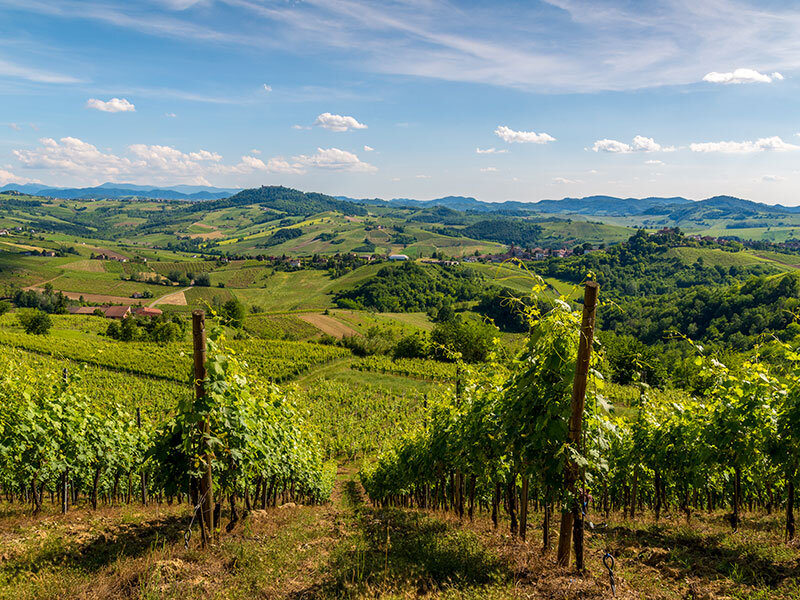 Degustazioni enologiche per 2 in selezionate cantine dell’Emilia Romagna