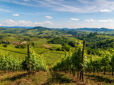 Cofanetto regalo Degustazioni enologiche per 2 in selezionate cantine dell’Emilia Romagna