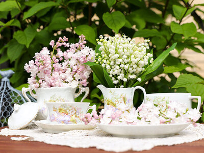 Vrijgezellenfeestje: high tea voor 2 in Nederland