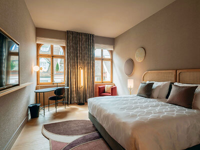 Coffret City break de 2 nuits à Bâle avec vélos électriques et moment de détente pour 2 personnes