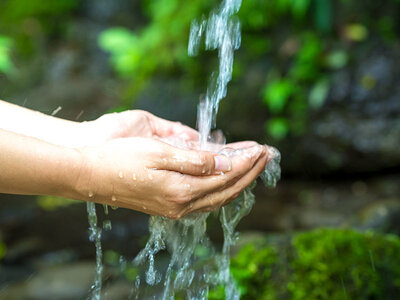 Corso di sopravvivenza di 3 giorni nella natura selvaggia