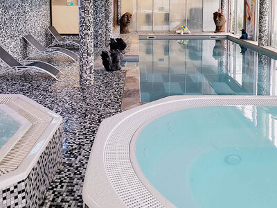 Coffret Demi-journée de bien-être : accès à l'espace détente et modelage du dos pour 2 aux portes de la Champagne