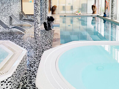 Demi-journée de bien-être : accès à l'espace détente et soin au chocolat aux portes de la Champagne