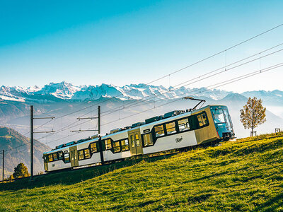 Coffret cadeau 1 billet d’une journée pour explorer le mont Rigi