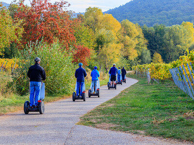 Caja Osana y La Selva, Catalunya, en segway 4x4 de 2 horas para 2