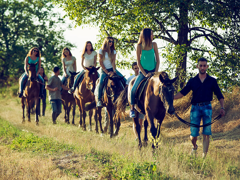 Avventure in sella: escursione a cavallo guidata 1h 30min per 8 persone in Piemonte