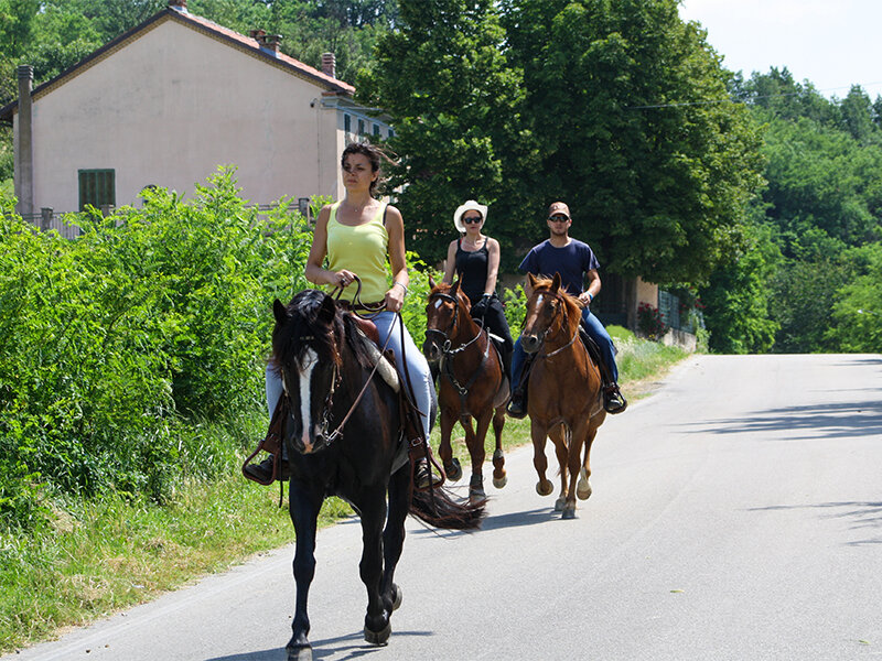 Avventura equestre in Piemonte: escursione a cavallo guidata di 1h per 8 persone