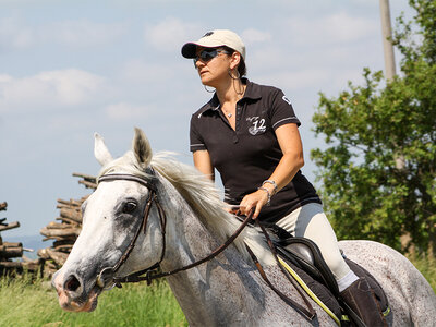 A cavallo in Piemonte: escursione guidata a cavallo di 1h per 1 persona