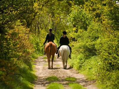 A cavallo con gusto: passeggiata a cavallo di 45min e pranzo per 2 persone in Piemonte