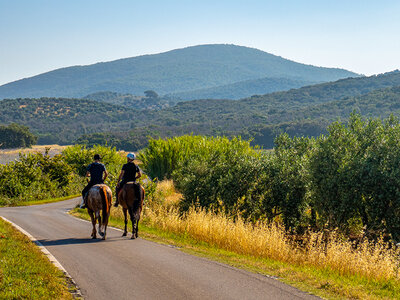 Cofanetto regalo A cavallo con gusto: passeggiata a cavallo di 45min e pranzo per 2 persone in Piemonte