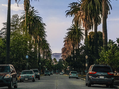 Doos 9 dagen op vakantie in Californië inclusief excursies en overnachtingen in een 4-sterrenhotel