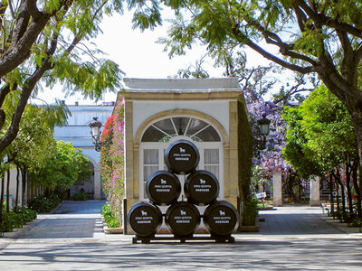 Caja De bodegas en Andalucía: visita guiada y cata de vinos