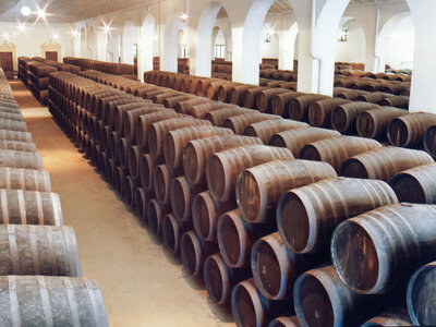 ¡De vinos por España! 1 visita a una bodega y cata de vinos