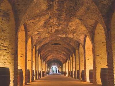 De bodegas en Madrid: visita guiada y cata de vinos