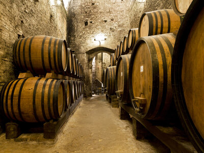 Caja De bodegas en Madrid: visita guiada y cata de vinos