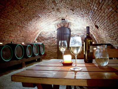 Découvertes œnologiques pour 2 : cours, dégustations ou visites de vignobles