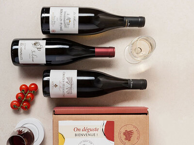 Coffret cadeau Abonnement de 6 mois : 3 grands vins par mois et livret de dégustation