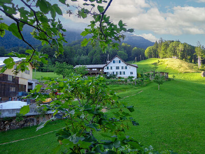 Aufenthalte, Abenteuer, Wellness oder Gourmet-Dinner zur Wahl in der Schweiz