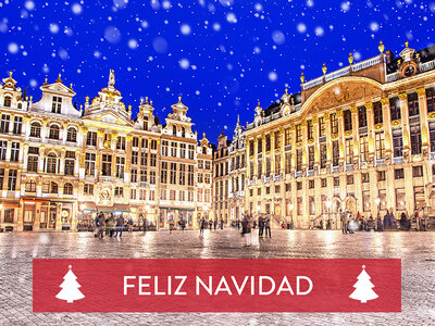 Caja regalo Mercados navideños en Bruselas: 1 noche con desayuno para 2