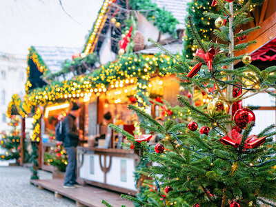 Cofanetto regalo Mercatini di Natale: 1 notte a Losanna per celebrare il periodo festivo