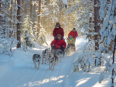Boks Nordlys i Sverige i tipi med helpension og hundeslædetur for 2