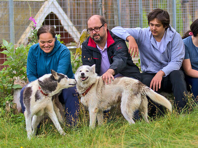 Box Sommardagar i vild natur