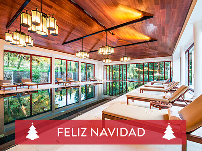 Caja regalo ¡Feliz Navidad! 2 noches con spa en un hotel de 4*