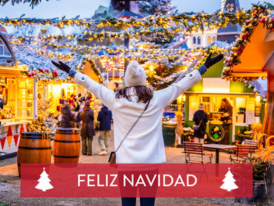 Caja regalo ¡Feliz Navidad en Copenhague! Escapada de 1 noche para conocer su mercado navideño