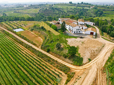 Bodegas J. Miquel Jané: visita a la bodega, curso de cata y degustación de vinos