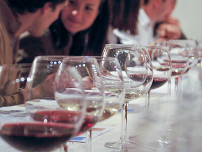 Caja Bodegas J. Miquel Jané: visita a la bodega, curso de cata y degustación de vinos