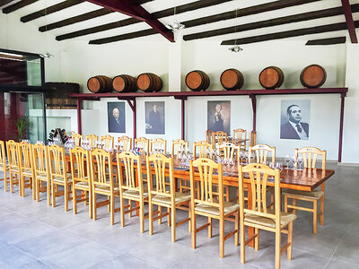 Caja Bodegas J. Miquel Jané: visita, curso de cata y degustación de vinos para 2 personas