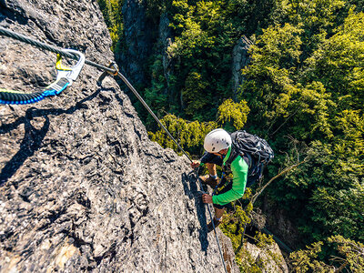 Emozionante arrampicata nelle Alpi svizzere per 1 persona