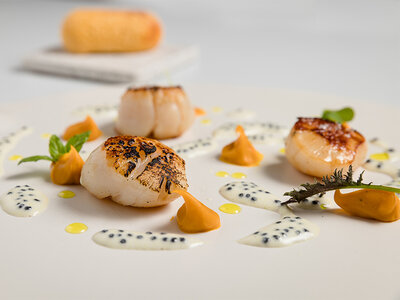 Raffinato menù degustazione di 6 portate presso l'Enoteca Ristorante Innocenti Wines vicino a Siena