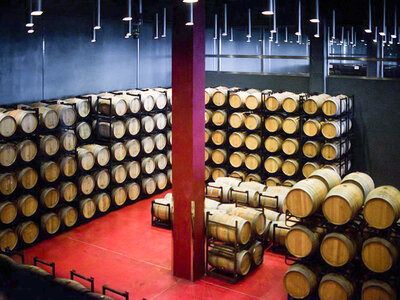 ¡Feliz Navidad entre viñas! 1 noche con cata de vinos