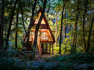 Coffret cadeau 2 nuits insolites en cabane dans les arbres